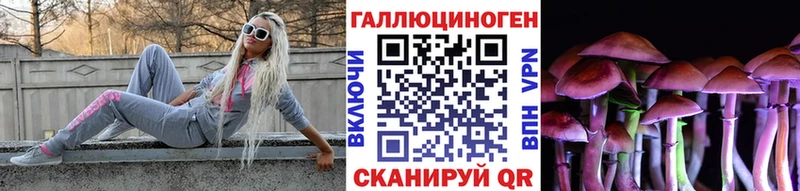 Галлюциногенные грибы Psilocybe Мытищи